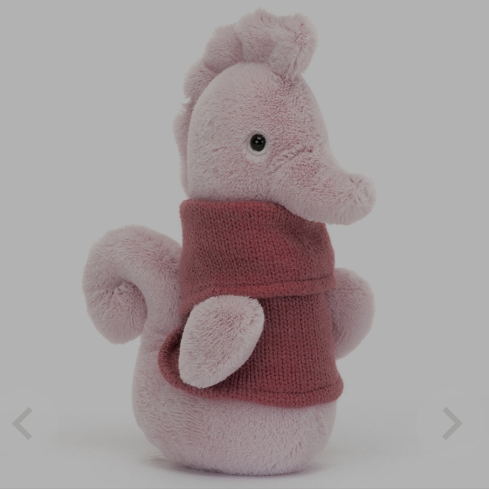 ✨️Cozy Crew Seahorse✨️